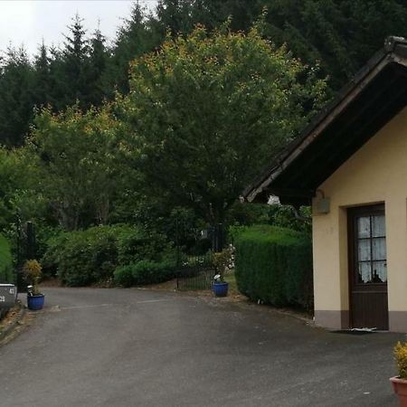 Chalet Rose Villa Burg Reuland Exterior foto
