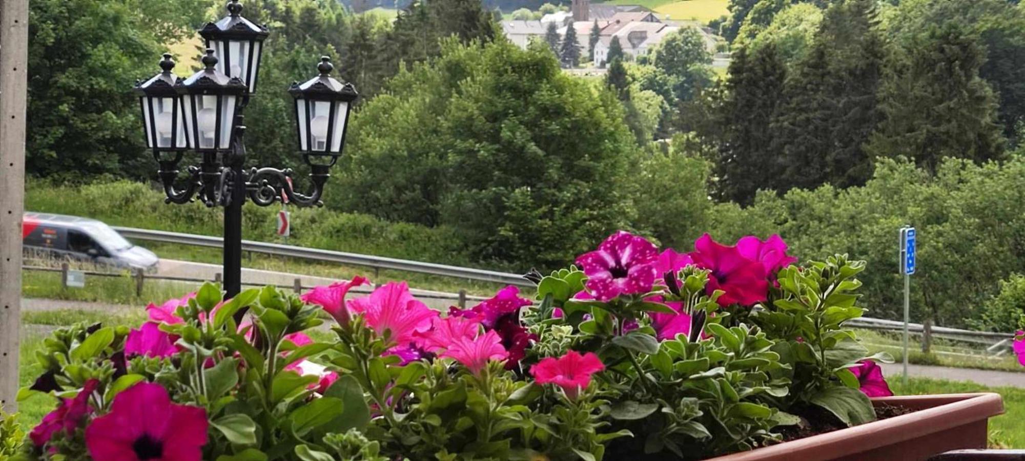 Chalet Rose Villa Burg Reuland Exterior foto