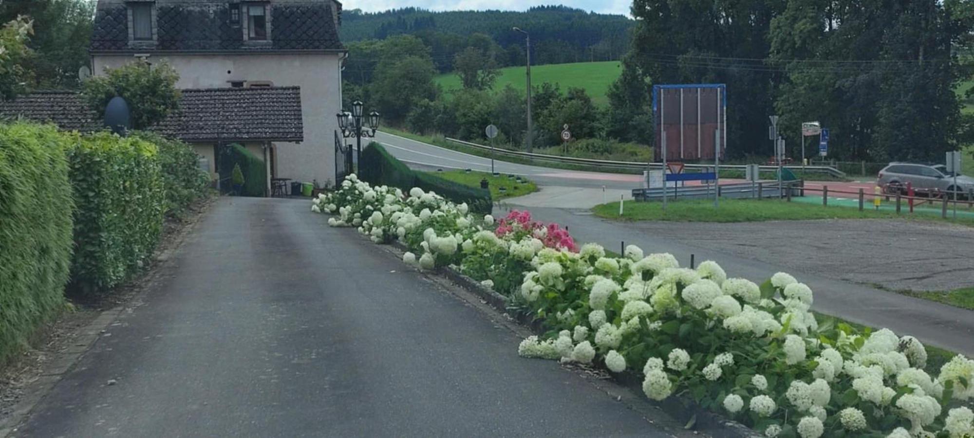 Chalet Rose Villa Burg Reuland Exterior foto
